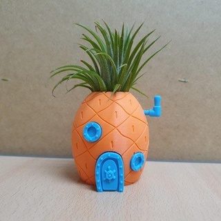 spongebob planter Home Decor 3d print model - Mito3D