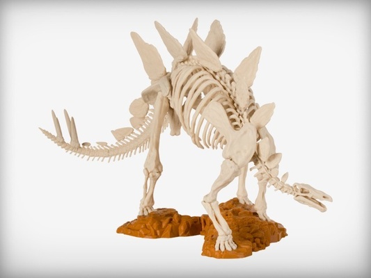 estegossauro esqueleto 3d modelos baixar crialidade nuvem 3d print model - Mito3D