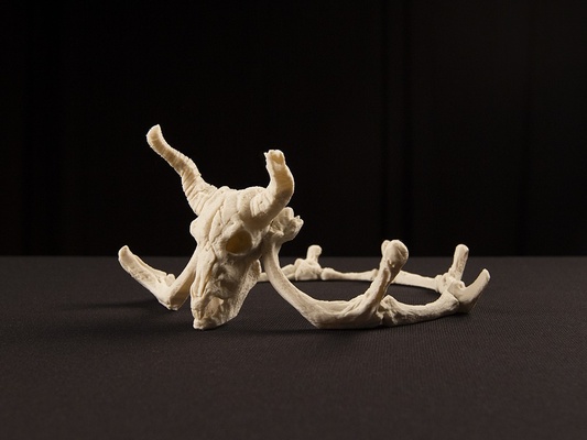 storied skulls crown tiara 3d models download creality cloud 3d print model - Mito3D
