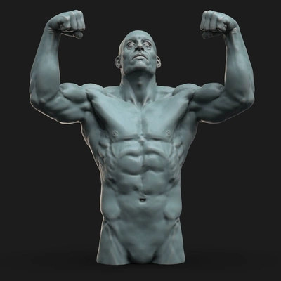 forte masculino fracasso 3d modelos baixar crialidade nuvem 3d print model - Mito3D