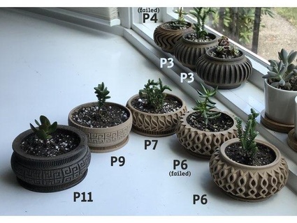 succulent planter Nature & Plants 3d print model - Mito3D