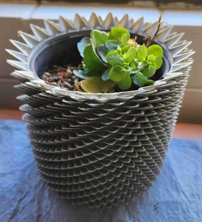 succulent style pot holder Home Decor 3d print model - Mito3D
