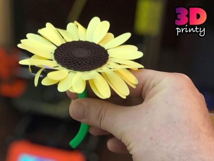 sunflower print flat Others 3d print model - Mito3D