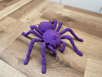 tarántula araña 3d modelos descargar crealidad nube animales 3d print model - Mito3D