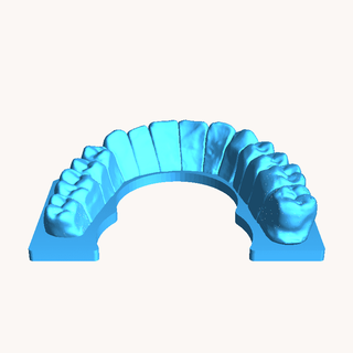 dientes modelo cuerpo partes 3d print model - Mito3D