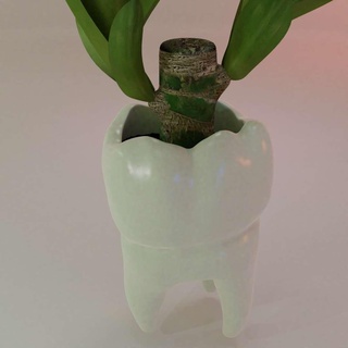 dientes diente flor maceta naturaleza plantas 3d print model - Mito3D