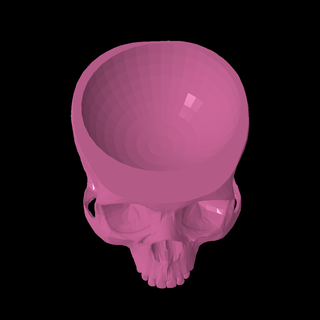 prueba cráneo 3d print model - Mito3D