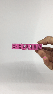 Text Flip Gehirn 3d print model - Mito3D
