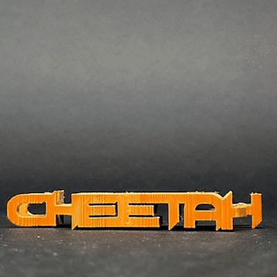 text flip - cheetah 3d models download creality cloud mammal 3d print model - Mito3D