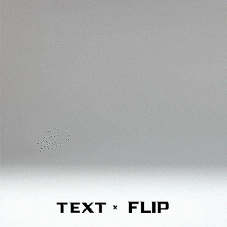 text flip - kangaroo Animals 3d print model - Mito3D