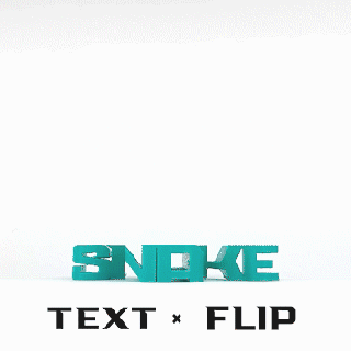 text flip - snake Animals 3d print model - Mito3D