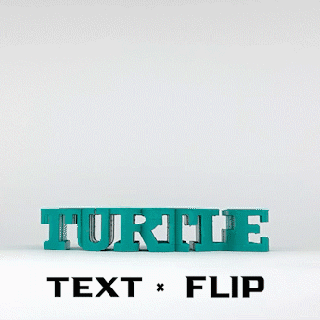text flip - turtle Reptilian 3d print model - Mito3D