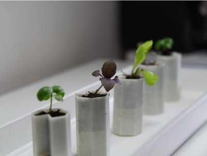 tiny watering planter Nature & Plants 3d print model - Mito3D