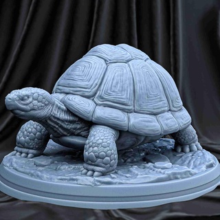tortoise Reptilian 3d print model - Mito3D