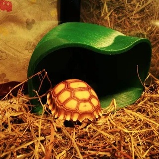 tortoise shelter Animals 3d print model - Mito3D