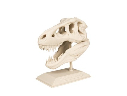 Trex kafatası 3d modeller indir Creality bulut hayvanlar 3d print model - Mito3D