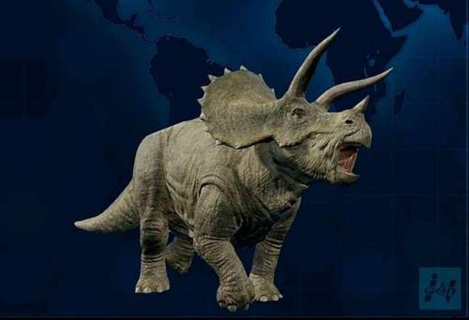 triceratops animales 3d print model - Mito3D