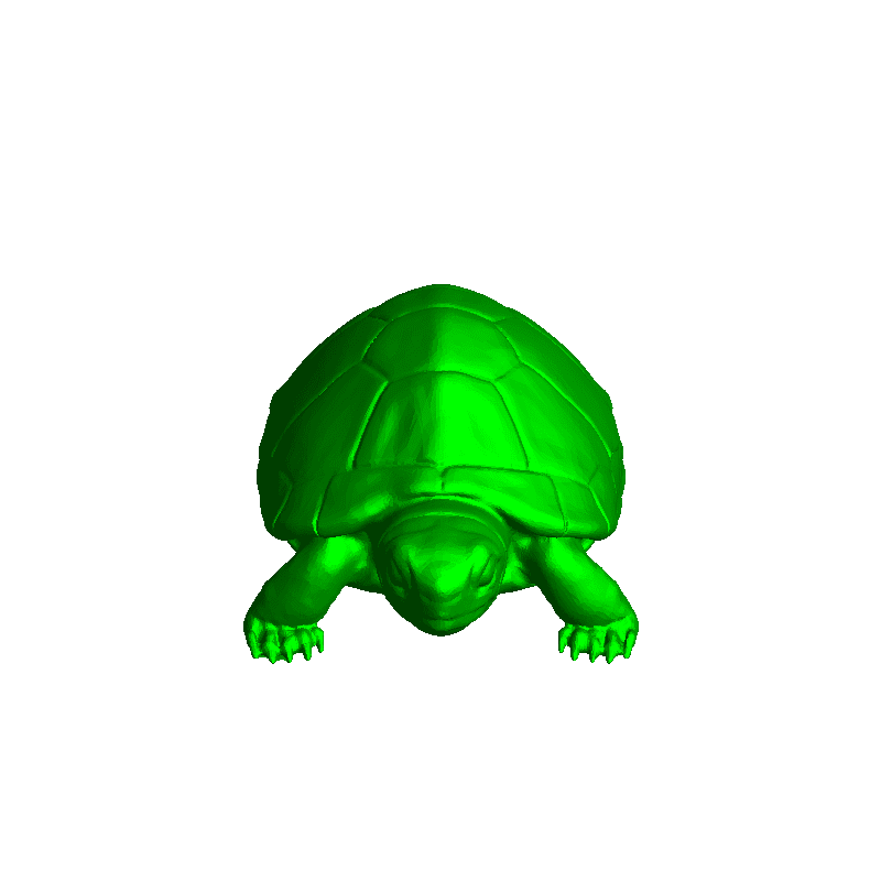 Schildkröte Reptilien 3D print model - Mito3D