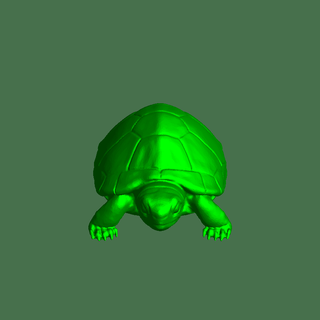 tartaruga reptiliano 3d print model - Mito3D