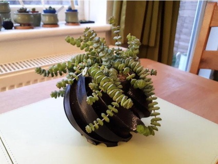 twisted planter Nature & Plants 3d print model - Mito3D