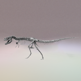 tyrannosaurus rex skeleton Animals 3d print model - Mito3D
