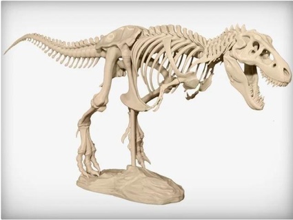 tiranosaurio esqueleto 3d modelos descargar crealidad nube dinosaurio 3d print model - Mito3D