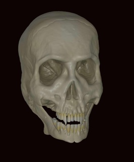 vampire skull 3d models download creality cloud Characters 3d print model - Mito3D