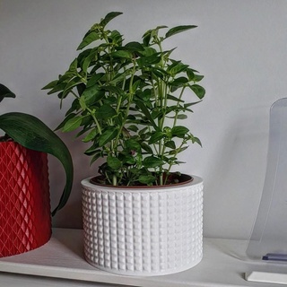 vaso pentola fioriera cachepot 2 casa arredamento 3d print model - Mito3D