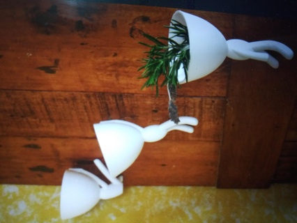 wall clinbing flower pots Home Decor  3d print model - Mito3D