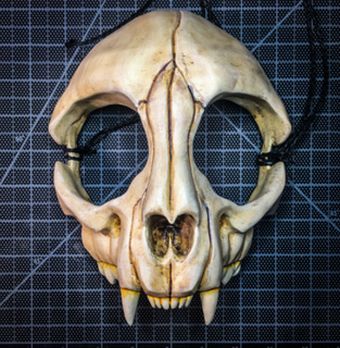wearable cat skull mask 3d models download creality cloud animals 3d print model - Mito3D