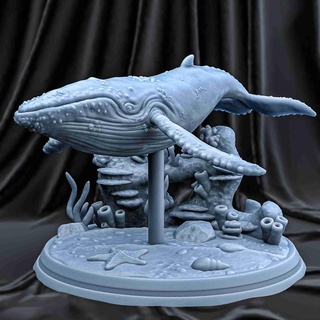 whale Mammal 3d print model - Mito3D