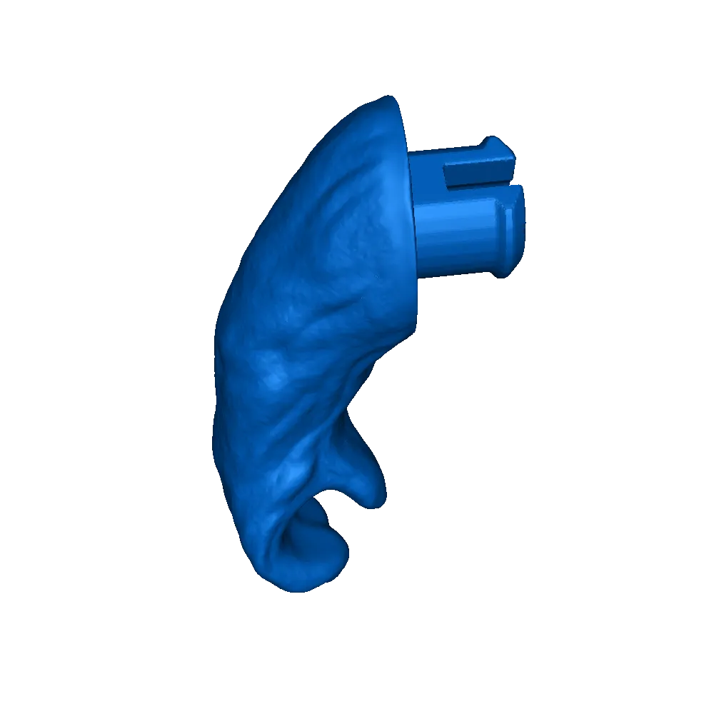 pipi braço 3d modelos baixar crialidade nuvem 3D print model - Mito3D