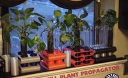 ventana planta maceta propagador naturaleza plantas 3d print model - Mito3D