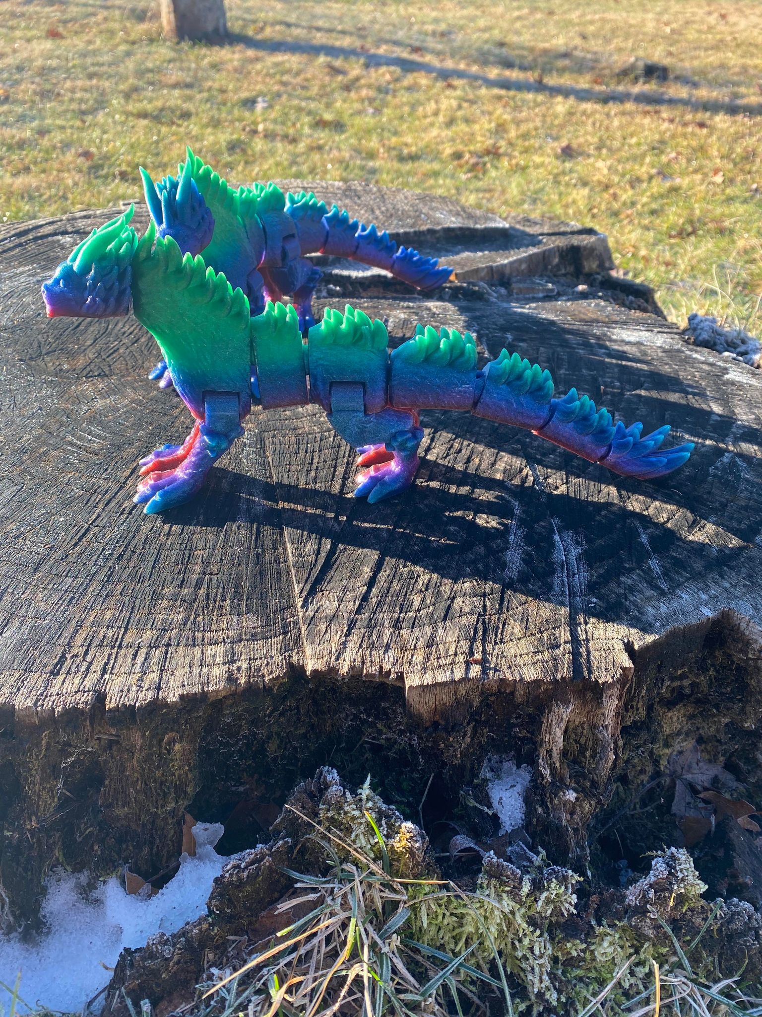 winter dragon Others 3D print model - Mito3D