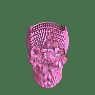 filaire crâne monstres 3d print model - Mito3D