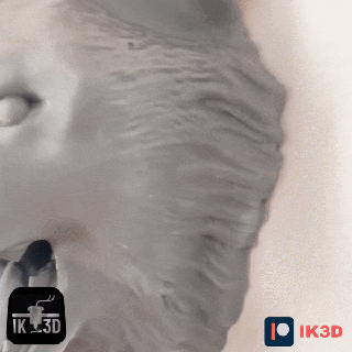 Kurt duvar monte kulaklık Kulp destek memeli 3d print model - Mito3D