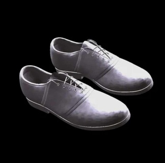 zapatos Moda 3d print model - Mito3D