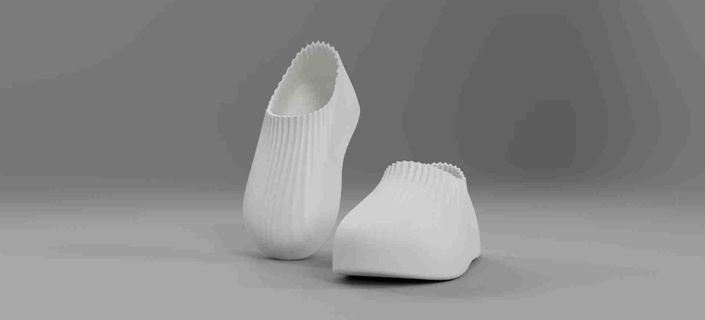 zea shoes Shoes & Accessories 3d print model - Mito3D