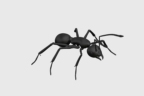 zoon ant 3d modelli scarica creality nube 3d print model - Mito3D