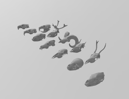 12 pack creepy animal skulls halloween dnd scenery skull animals 3d print model - Mito3D