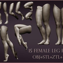 15 fêmea perna poses 3d print model - Mito3D