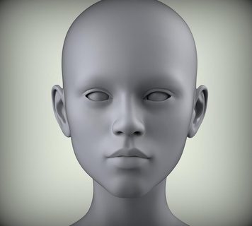 19 3d testa viso femmina carattere donne adolescente ritratto Bambola modello arte spaventoso occhio anatomia corpo Calvo uomo umano maschio aquila animali scultura 3d print model - Mito3D