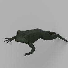1 35 frog 3d print model - Mito3D