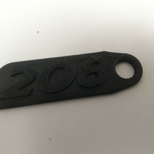 208 logo anahtar yüzük gadget peugeot stellantis psa araba otomotiv anahtarlık 206 207 dişi aslan pençe 3D print model - Mito3D
