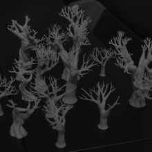 20 trees various 3d print model - Mito3D
