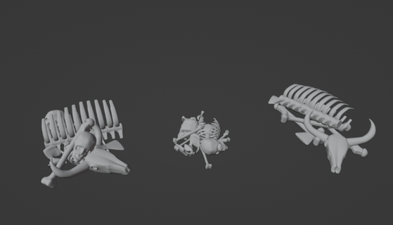 28mm Rahmen Fantasie Knochen Haufen einstellen Tier streuen Terrain Verlies Creepyhero Studios 3d print model - Mito3D