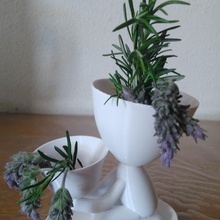 2 baş kaktüs tencere teklif saksı kaynama çiçek Robert bitki 3d print model - Mito3D