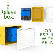 2 relais-box esp-01 relay verschiedene diy relais esp cover Fall box 3d print model - Mito3D