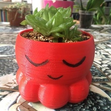 2 succulent pot funny plant flowerpot planter 3d print model - Mito3D