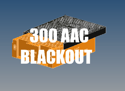300 aac blackout 186x Conservazione si adatta 50cal munizioni proiettile proiettili ar15 fucile pistola scatola miele m4 scrigno bara cartuccia gratuito mag tasso 3d print model - Mito3D